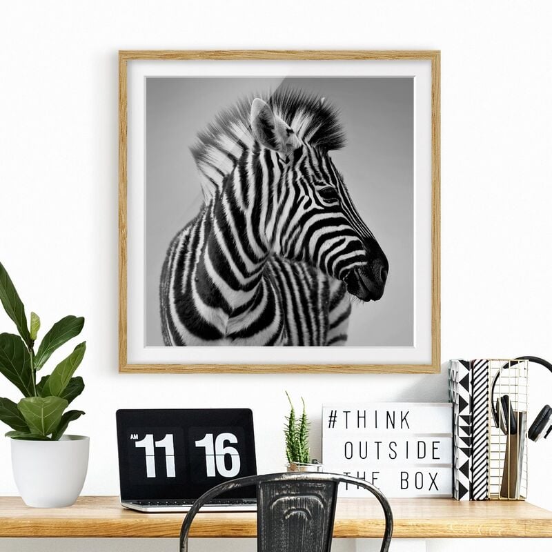 

Póster enmarcado - Zebra Baby Portrait II Dimensión LxA: 20cm x 20cm, Marco: Roble