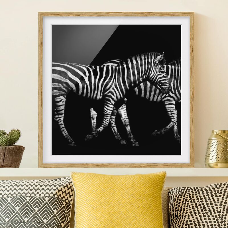 

Póster enmarcado - Zebra In The Dark Dimensión LxA: 20cm x 20cm, Marco: Roble