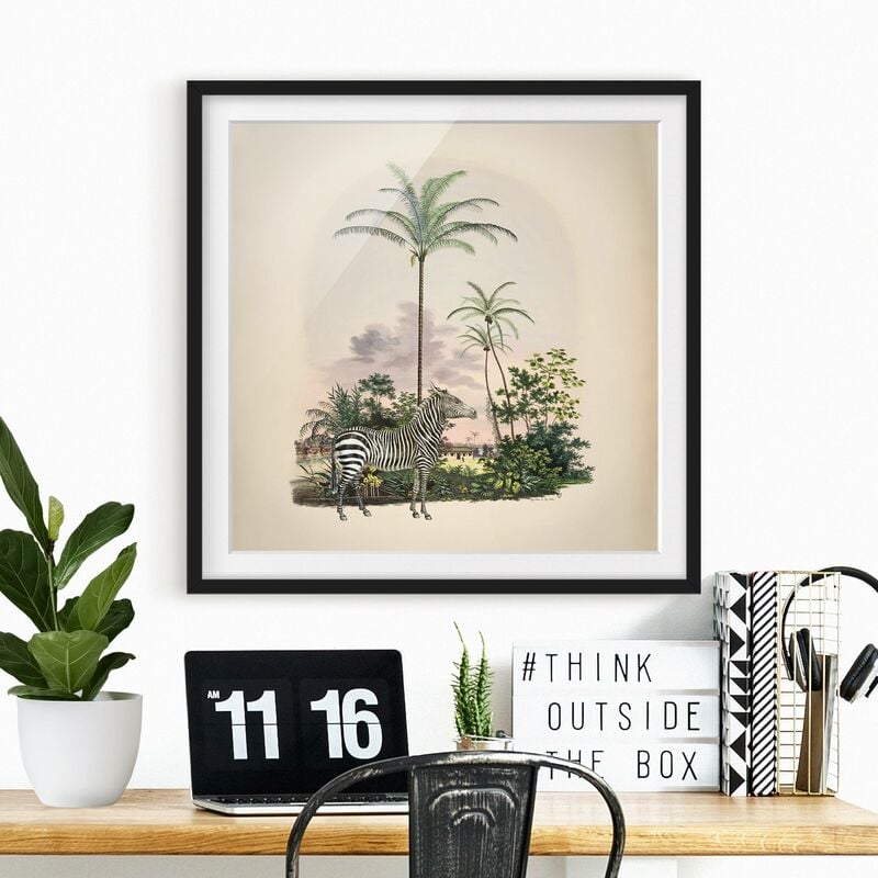 

Póster enmarcado - Zebra Davanti Palme Illustrazione Dimensión LxA: 70cm x 70cm, Marco: Negro