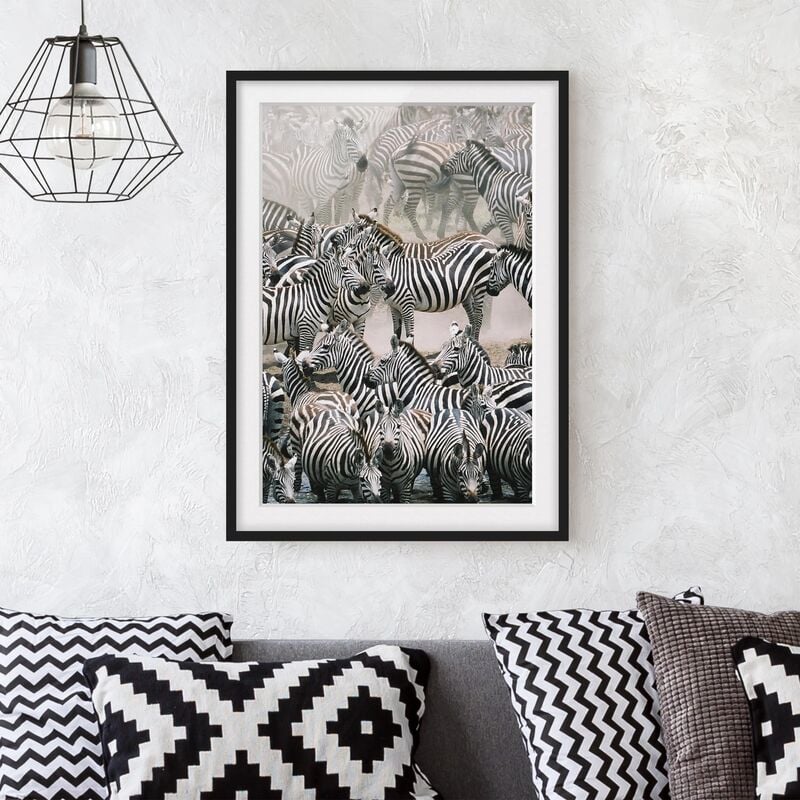 

Póster enmarcado - Zebra Herd Dimensión LxA: 24cm x 18cm, Marco: Negro