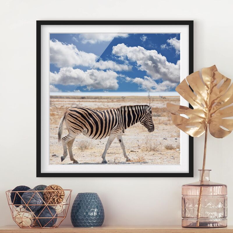 

Póster enmarcado - Zebra In The Savannah Dimensión LxA: 50cm x 50cm, Marco: Negro