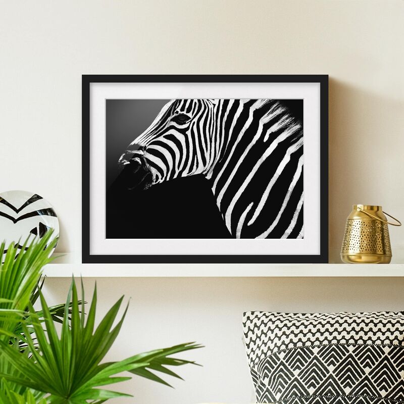 

Póster enmarcado - Zebra Safari Art Dimensión LxA: 30cm x 40cm, Marco: Negro