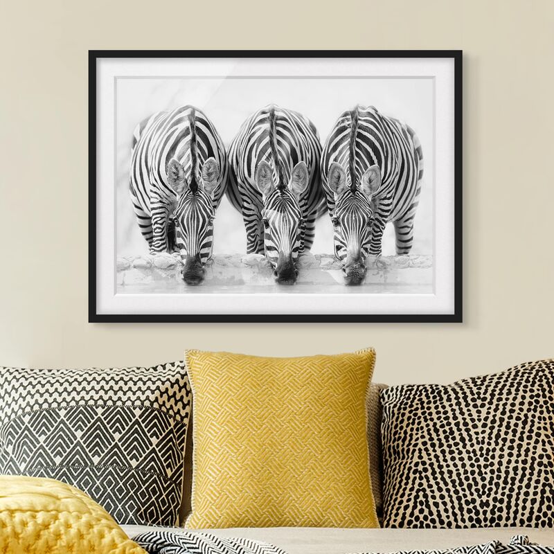 

Póster enmarcado - Zebra Trio in bianco e nero Dimensión LxA: 50cm x 70cm, Marco: Negro