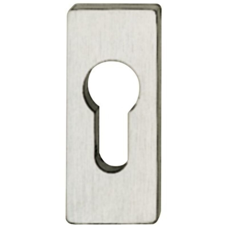 PT-Rosace porte profil pz, 0 17 1768,eck.,Alu F1