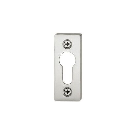 PT-Rosace porte profil PZ, 0 17 1755,eck.,F69 matt