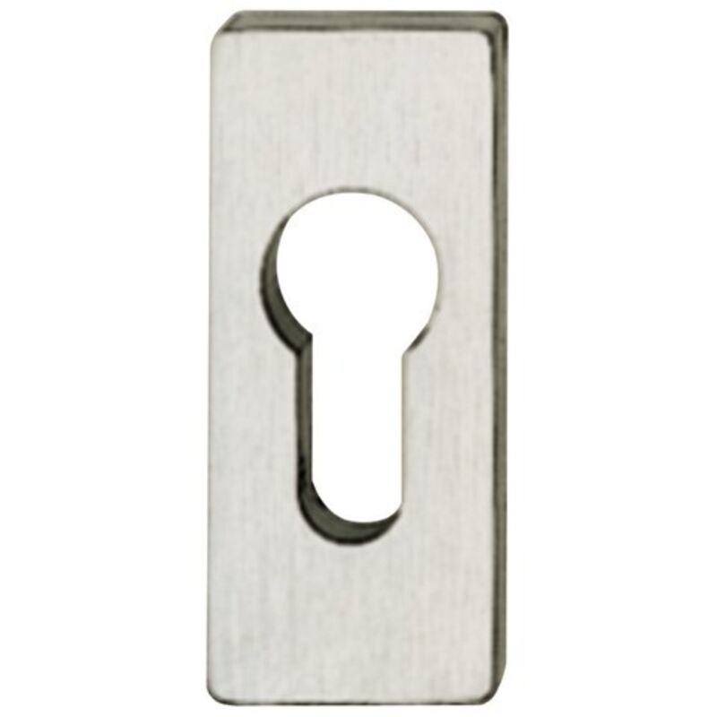 PT-Rosace porte profil pz, 0 17 1768,eck.,F69 matt