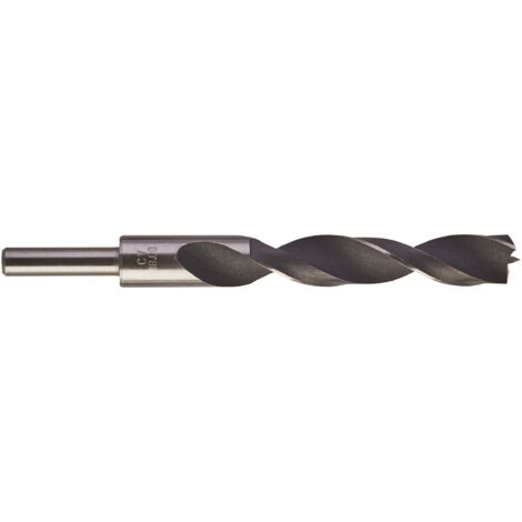 PTA ELICOIDALI PER LEGNO DIN 7487 E   D. 18  X 160