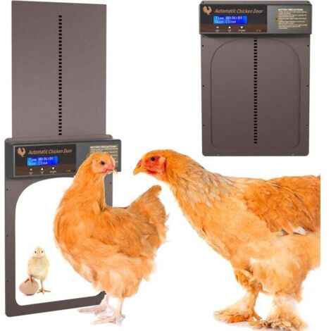 Puerta Automática para Gallinero, Puerta Automática para Gallinero con Pantalla LCD Programable Impermeable, Ideal para automatizar la apertura y cierre de un gallinero