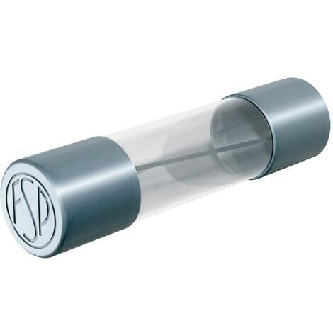 Püschel Feinsicherungen FSM1,6B FSM1,6B Micro-fusible (Ø x L) 5 mm x 20 mm 1.6 A 250 V semi-temporisé -mT- Contenu 10 pc(s) X640961