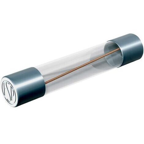 Püschel Feinsicherungen FSUF0,125B FSUF0,125B Micro-fusible (Ø x L) 6.3 mm x 32 mm 0.125 A 250 V rapide -F- Contenu 10