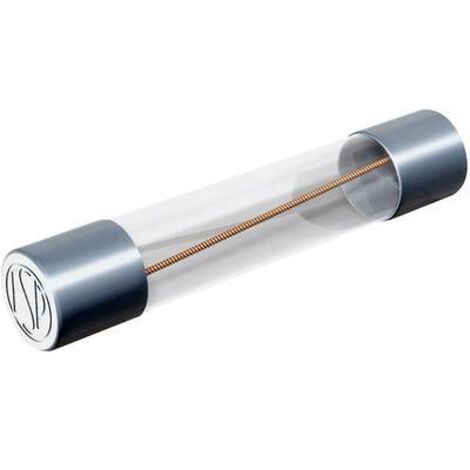 Püschel Feinsicherungen FSUT0,5B FSUT0,5B Micro-fusible (Ø x L) 6.3 mm x 32 mm 0.5 A 250 V temporisé -T- Contenu 10 pc(s) X640481