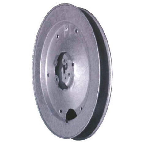 PULEGGIA CON FORO CIECO mm 220