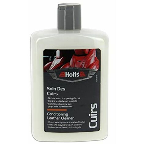 Pulisci Tappezzeria Holts