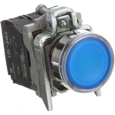 Pulsante Luminoso blu Ø22 filoghiera ad impulso 24V 1NO+1NC