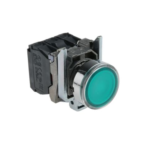 Pulsante Luminoso Verde Ø22, Filoghiera ad impulso, 24V 1NO+1NC