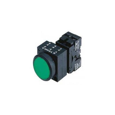 Pulsante Luminoso Verde Led 110V AC1L