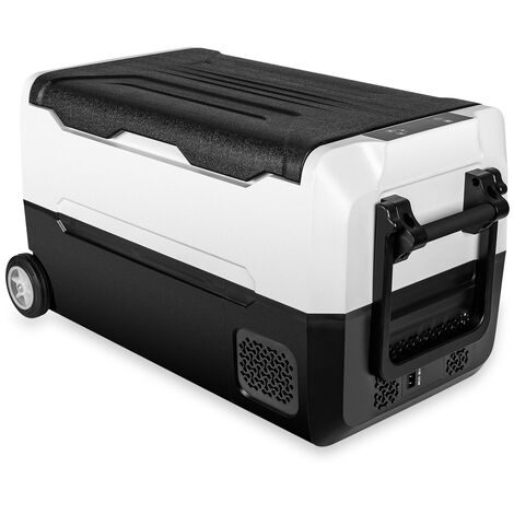 Puluomis Réfrigérateur Glacière Électrique 35L Portable pour Voiture avec Étagère Démontable Noir&Blanc - Noir&Blanc