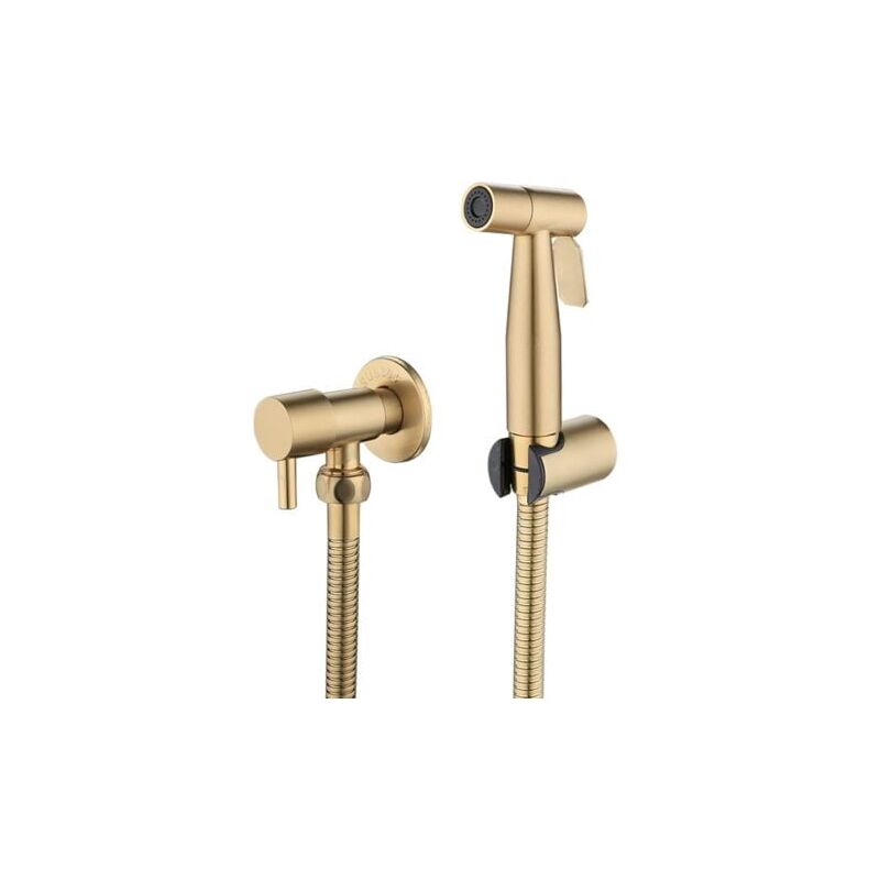 Pulvérisateur de toilette en acier inoxydable, kit de pulvérisateur de bidet, pulvérisateur de toilette pulvérisateur de robinet (or)