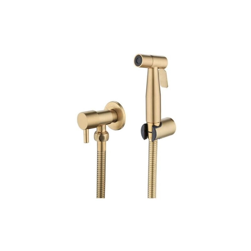 SNQ - Pulvérisateur de toilettes pour bidet et de toilettes en acier inoxydable, Kit de pulvérisateur de bidet, pulvérisateur de robinetterie