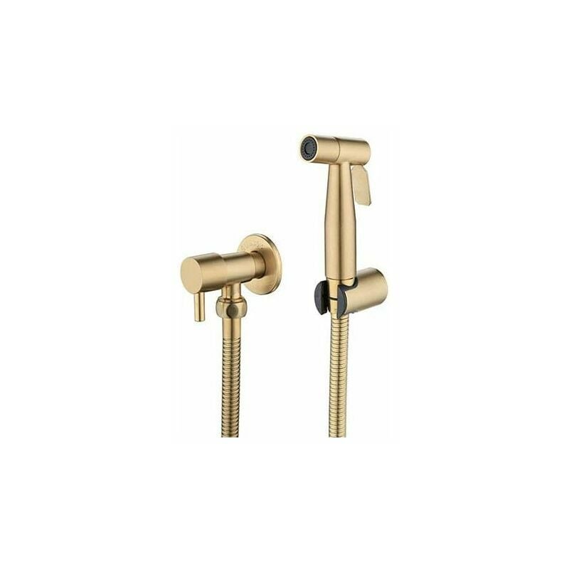 Erhope - Pulvérisateur de toilettes pour bidet et de toilettes en acier inoxydable, Kit de pulvérisateur de bidet, pulvérisateur de robinetterie