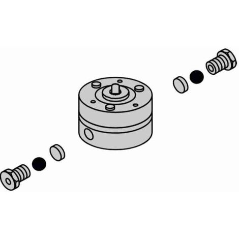 Pumpe Lt. 0,75 580 Faac 34005 Original Ersatzteil Automatisierung Garantie Neu