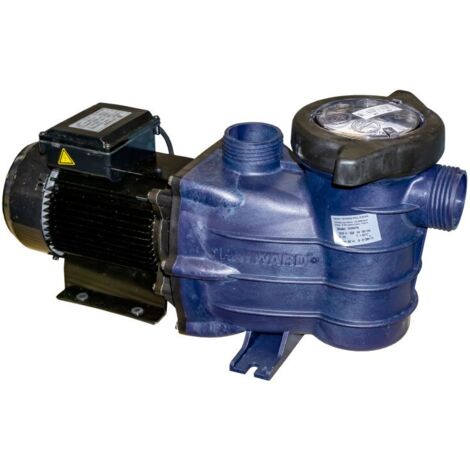 Pumpe Starpump monophasisch von 0,75 HP von QP.