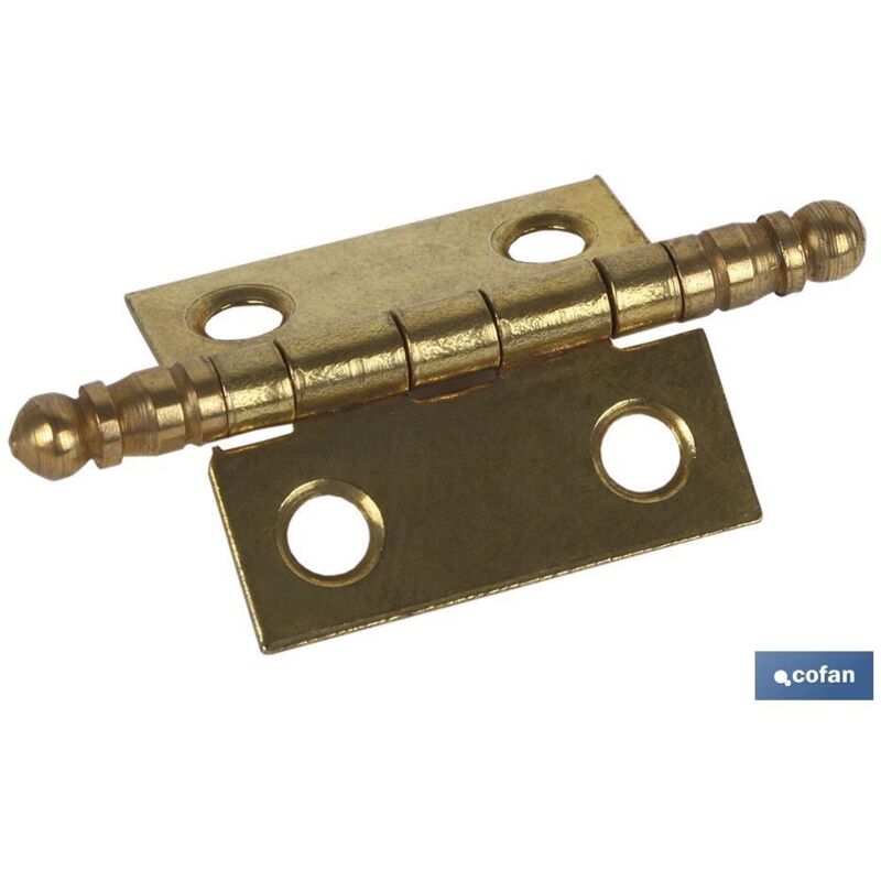 Cerniera in ferro ottone di fascia alta 2 unità