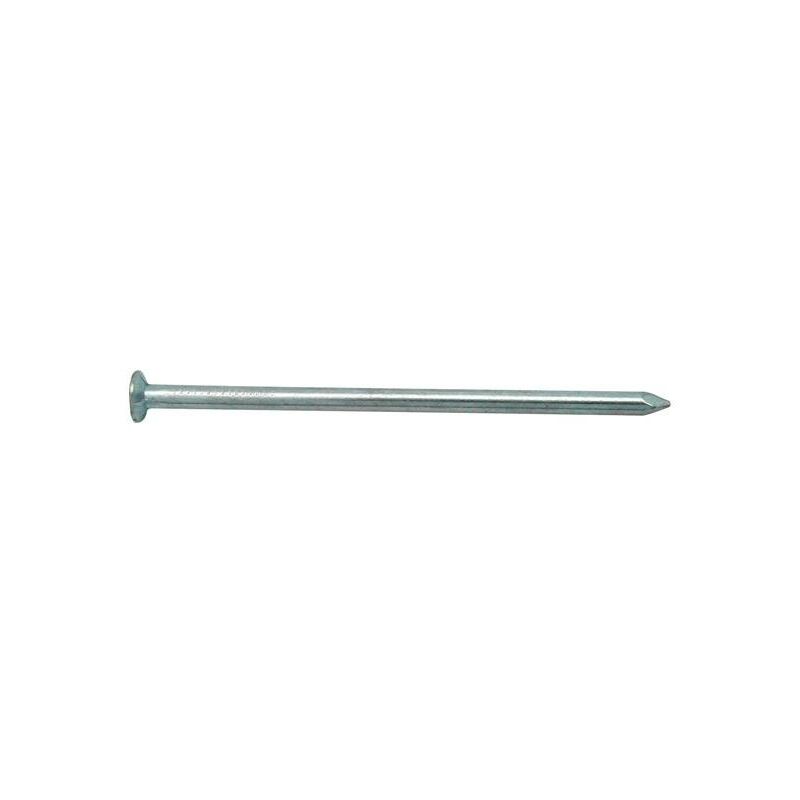 

Punta Hierro Cabeca Plana Cincada (250 Gr) Fer 1,60 X 30 Mm