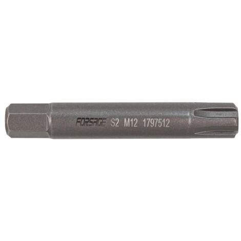Punta Ribe a 6 punte M12x75mmL, 10mm