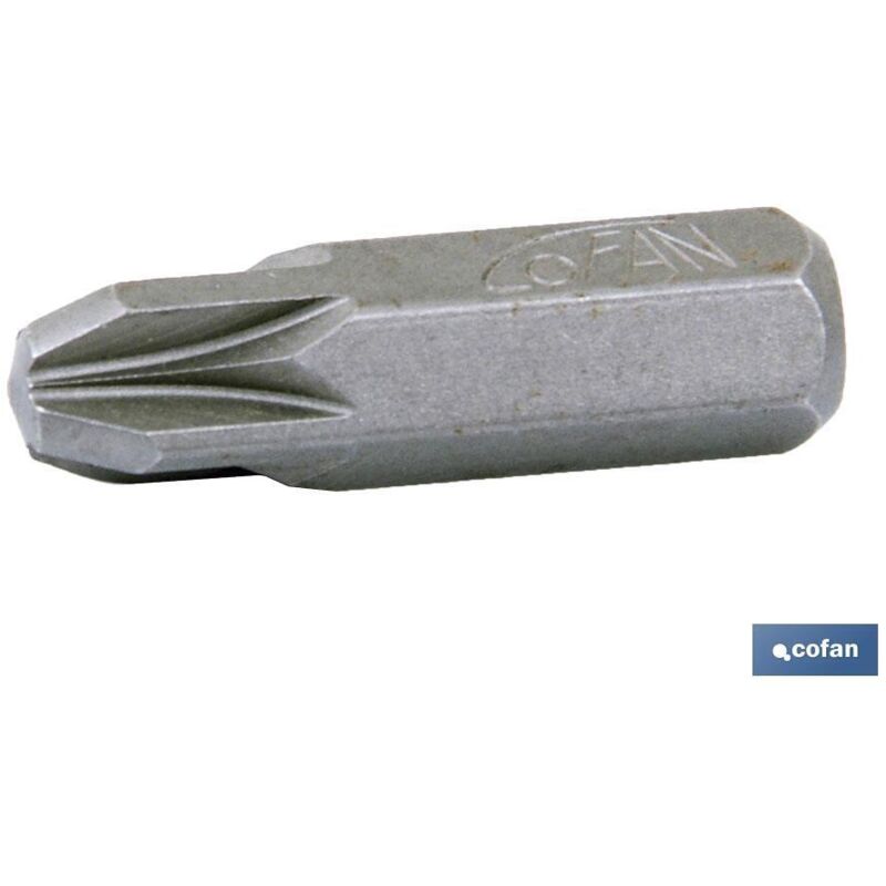 Punta Larga 5/16' Pz-2