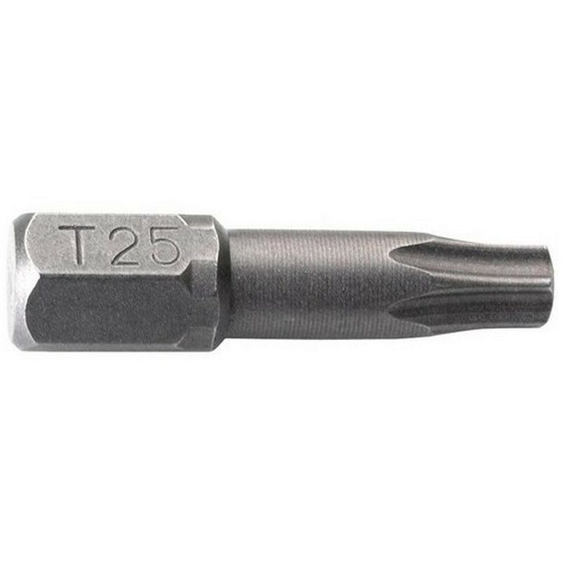 

ALYCO 193587 - Puntas Torx de 1/4' T 40 x 25