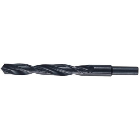 Punte Hss Codolo 13 Mm D 13,5 Mm - 3 Pz