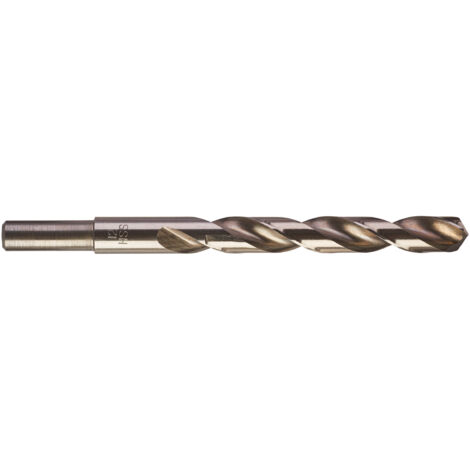 PUNTE METALLO HSS- G - DIN 338 DIAMETRO 12 LUNGHEZZA 151 LUNGHEZZA UTILE 101 PEZZI A CONFEZIONE 5 cod 4932352403