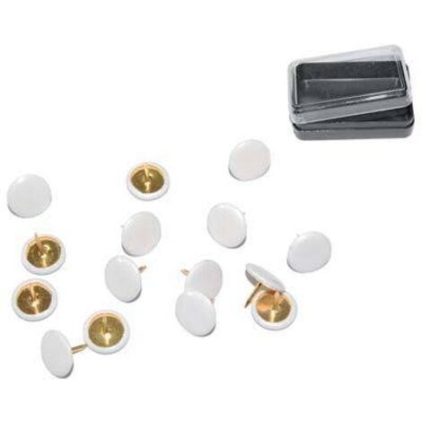 PUNTINE PUNES DA DISEGNO BLISTER 40 Pz. BIANCHE MAURER