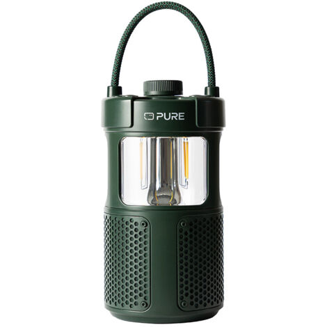 Pure 252584 tragbarer Lautsprecher oder de party Green 20 W