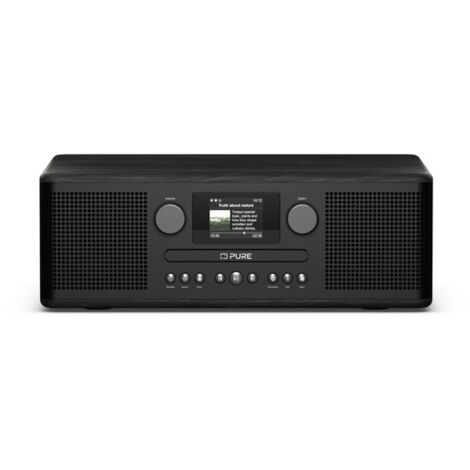 Pure 254587 radio