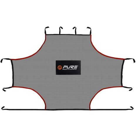 Pure2Improve Filet d'entraînement en salle 275 x 185 cm PE