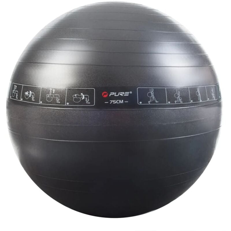 

Pure2Improve Pelota de Ejercicio Negra 75 cm - Negro