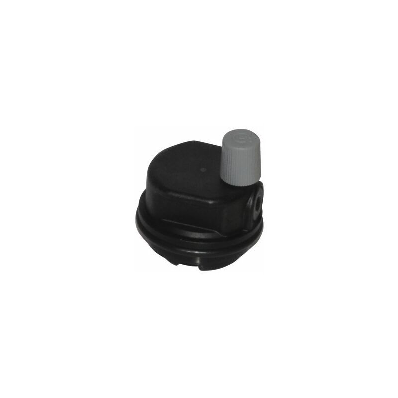 Purgeur air + joint (circulateur) - diff pour De Dietrich Chappée : 94918142