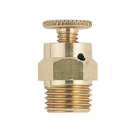 RIQUIER Purgeur d'air de radiateur à volant 5x10