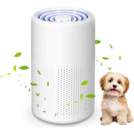 Purificateur d'Air HEPA H13 - Élimine Poussière, Fumée et Odeurs d'Animaux, pour Bureau et Maison