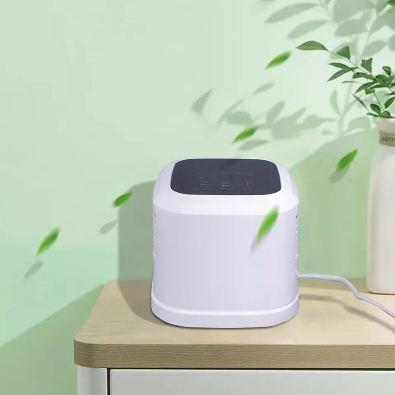 Purificateur d'air ionique négatif purificateur d'air chambre purificateur d'air générateur filtre