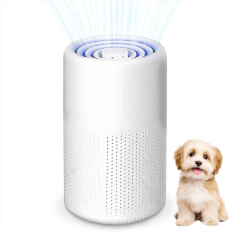 Purificateur d'Air pour Allergiques avec Filtre à Charbon Actif - Portable USB - Filtre HEPA 5W - Silencieux - Pour Poils d'Animaux & Odeurs - Pour Maison, Voiture, Bureau - Jusqu'à 10m²