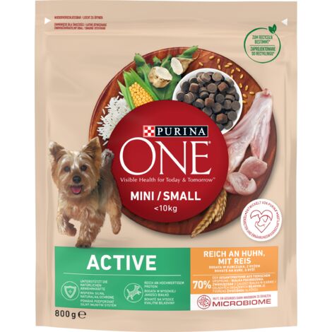 Purina ONE MINI Active Dog Food Pollo e Riso 800g