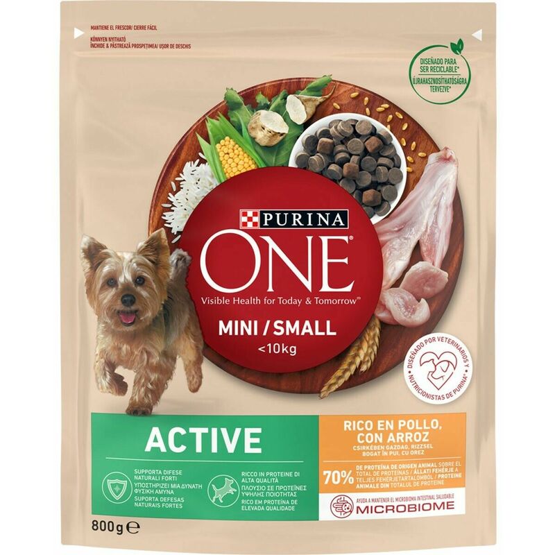 

Pienso Active One (800 g) - Purina