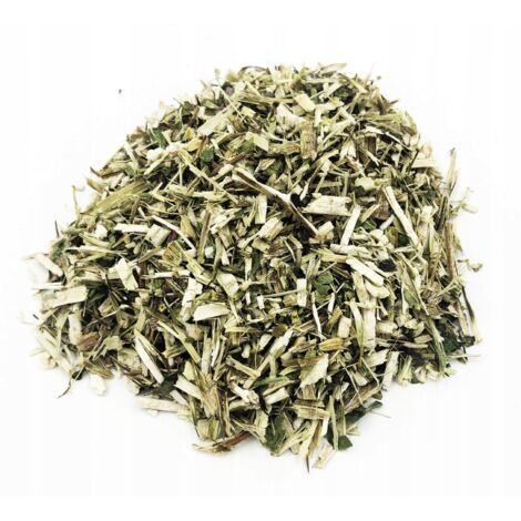 PURPLE ECHINESS HERB CUT 200 G 100%