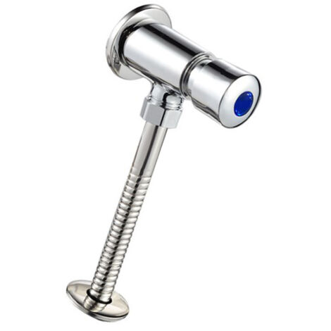 PVD-beschichteter Edelstahl-Druckknopf-WC-Armatur für Spülkasten mit verzögerter Spülung [PACKUNG 1]