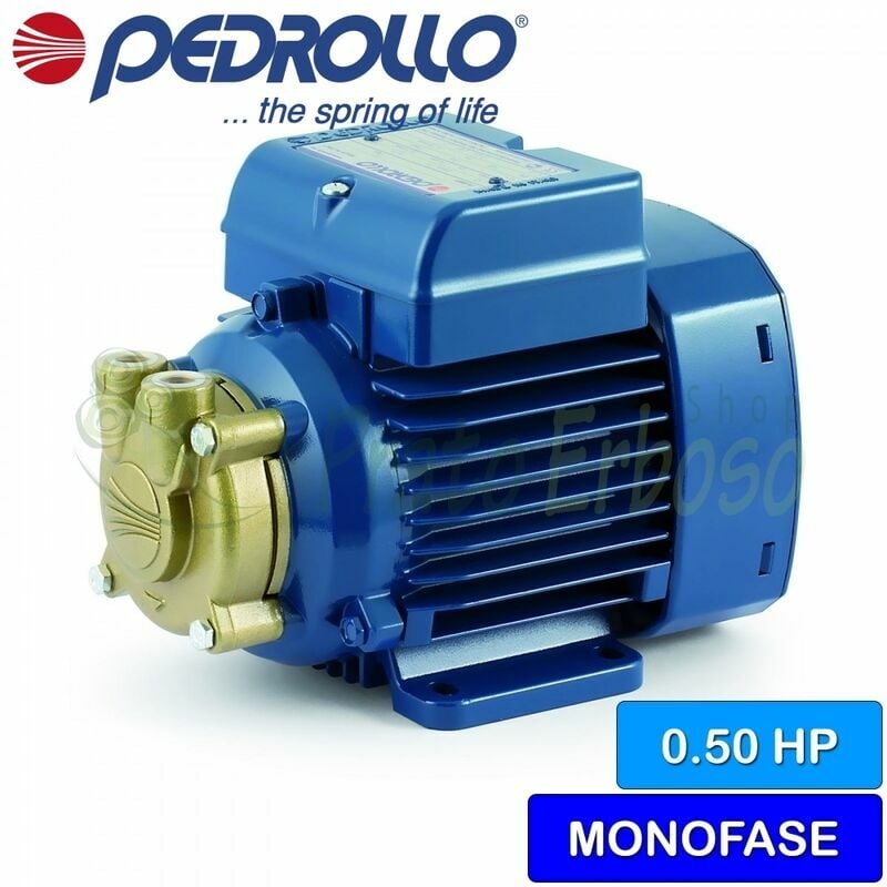 

Pedrollo - PVm 60 eléctrico de la Bomba con impulsor dispositivo de una sola fase