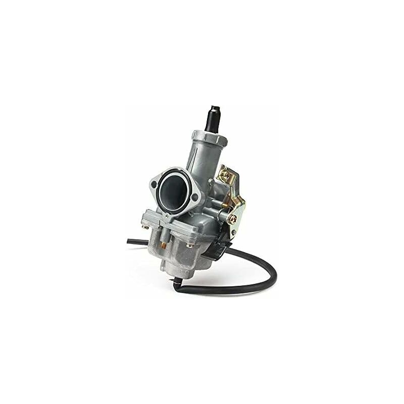 Riceel - PZ30 Carburateur - Collecteur d'admission pour vtt, Quad, Taotao, moto 200/250 cm³ - 30 mm