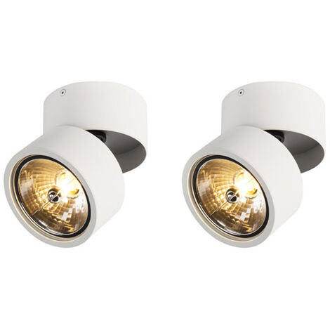 QAZQA + Industrial Set de 2 focos redondos blancos regulables - Go Nine Aluminio Redonda Adecuado para LED Max. 2 x 40 Watt